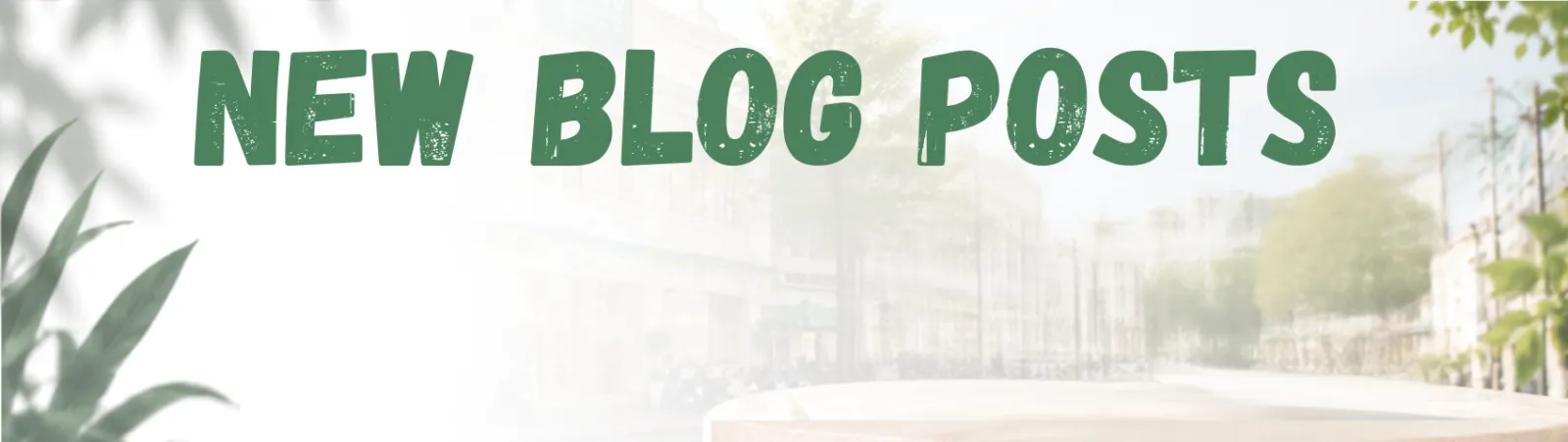 Bài viết mới cho bạn